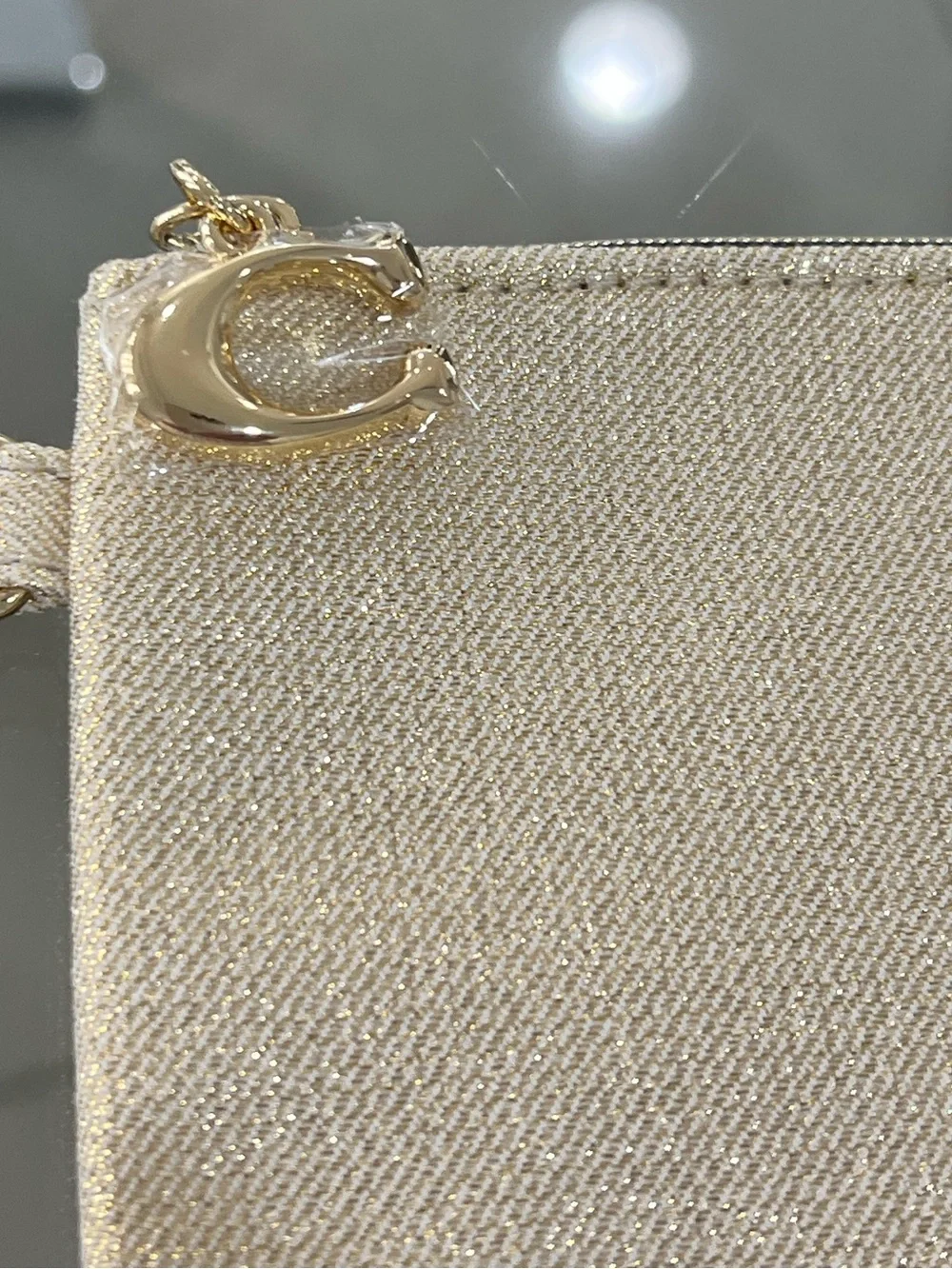 COACH Glitter Cosmetic Bag Pouch (NWT)
